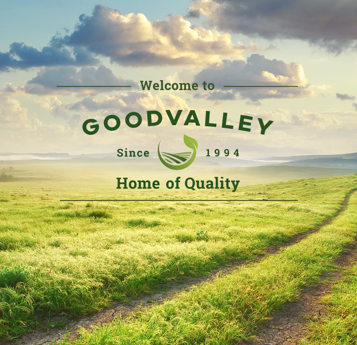case-goodvalley-a-min.jpg