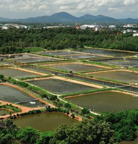 Pond Aquaculture Min